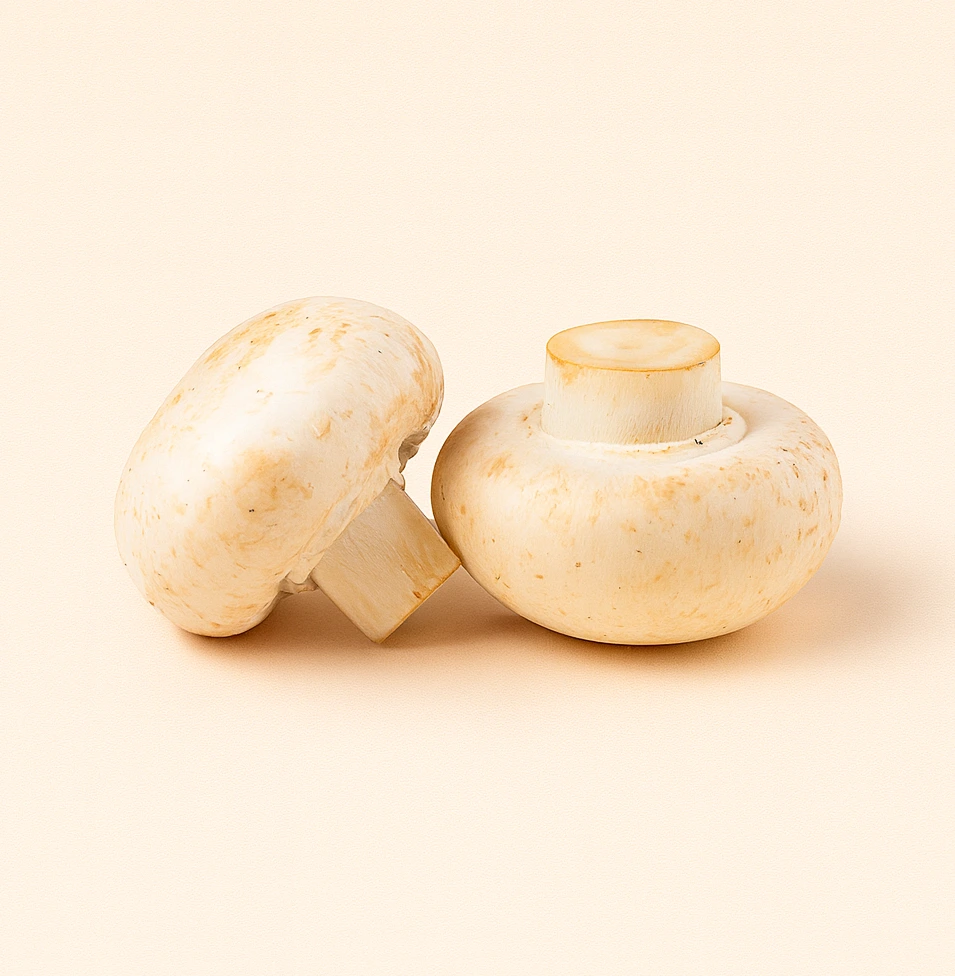 Button mushroom