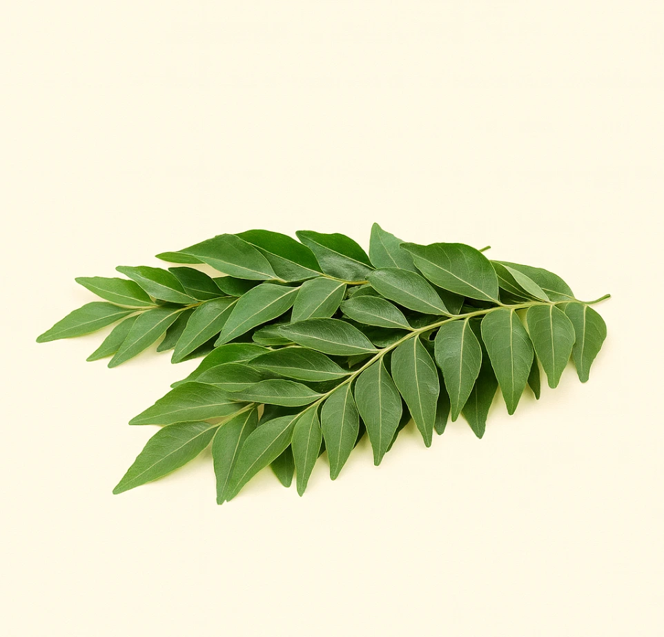Curry leaves (Kadhipatta)