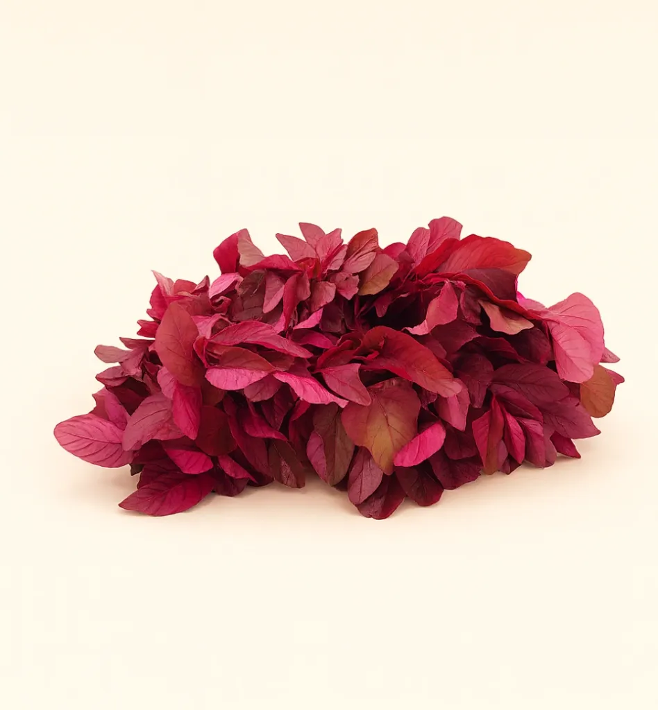 Red amaranth (Maath) (1 bunch)